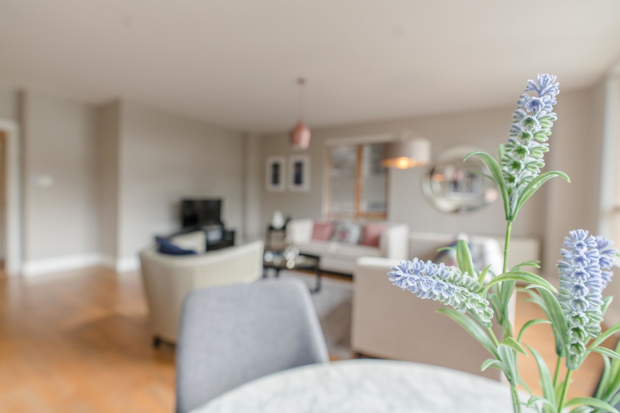 The Grand Canal Dock Apartment Dublin Extérieur photo
